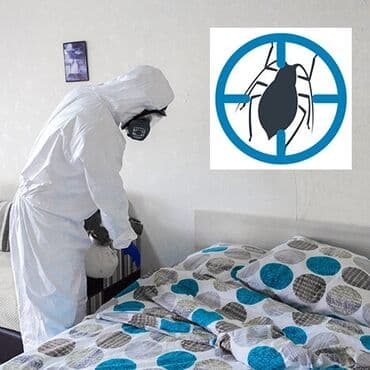 Дезинфекция, дезинсекция: Дезинфекция, дезинсекция, | Блохи, Обработка деревьев, Тараканы, | Квартиры, Кафе, магазины, Подъезды — 1