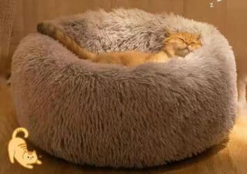 все породы собак с фотографиями: Состояние; новое доставка платная. Зоотовары Переноска для животных — 21