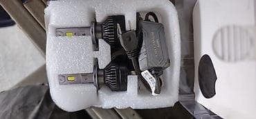 led лампы h1: Светодиодная Лампы, Оригинал — 2