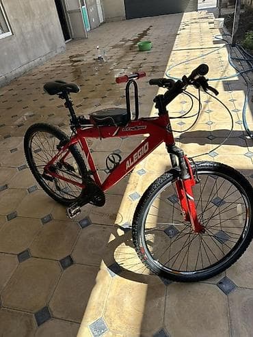 Велосипеддер: Тоо велосипеди, Болот — 2