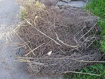 железный заборы: Отдам даром Сетка-рабица (металлическая), в разобранном/смотанном — 2