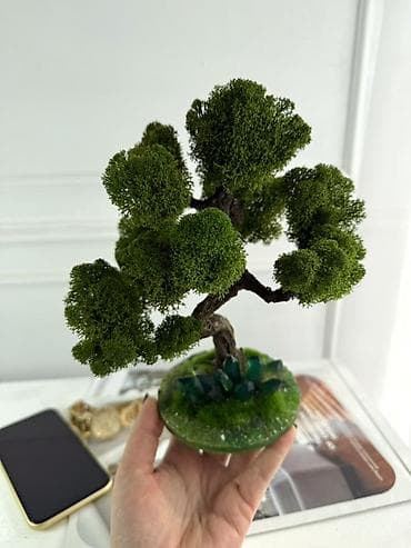 Другой декор и предметы интерьера: Декоративное настольное деревце Бонсай из стабилизированного мха- — 9
