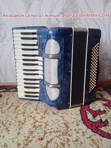 комуз для детей: Акардеон, синий перламутровый корпус. Клавиатурная сторона — — 2