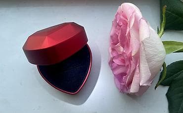 кольцовое лампа: Коробка — 1