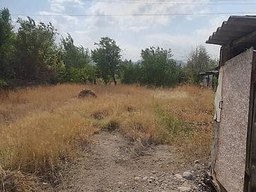 ысык куле: 5 соток, Айыл чарба үчүн, Кызыл китеп — 1