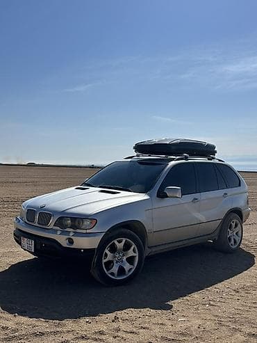 BMW X5: 2002 г., 4.4 л, Автомат, Бензин, Кроссовер