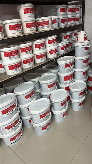 краска на авто: Краски и покрытия NATIONAL PAINTS Профессиональная линейка — 3