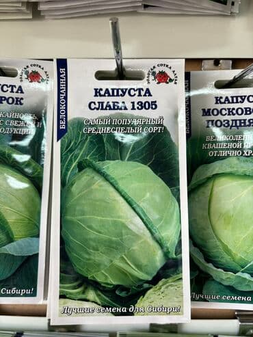 морковь семена: Семена капусты «Колобок» «Амагер 611» «Московская Поздняя 15» «Слава — 4