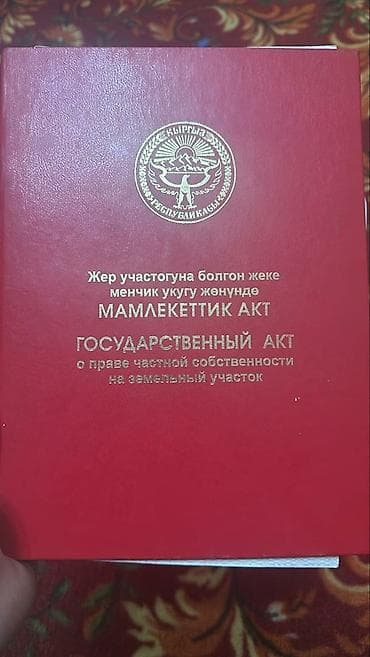 ысык куле: 50 соток — 1