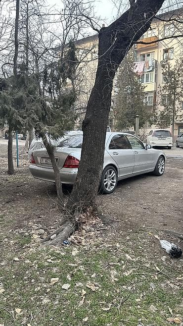210 cdi: Mercedes-Benz S-Class: 2003 г., 3.2 л, Автомат, Дизель, Седан — 10