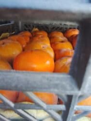 ведро эмалированное с крышкой 10л цена бишкек: Хурма в ящиках - Сорт: крупноплодная хурма (не вяжет при полной — 22