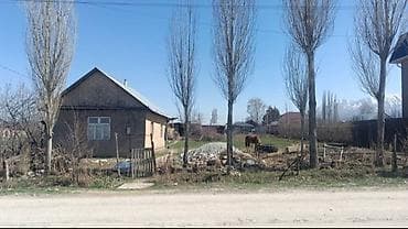 Продается участок с домом в селе Арчалы 💸=135000$+торг уместен — 3