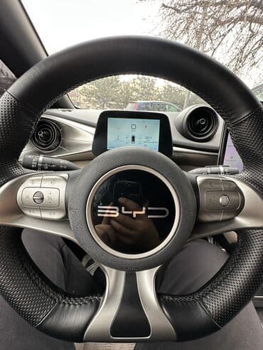 дельфин рекс: BYD Dolphin: 2023 г., Автомат, Электромобиль, Хэтчбэк — 8