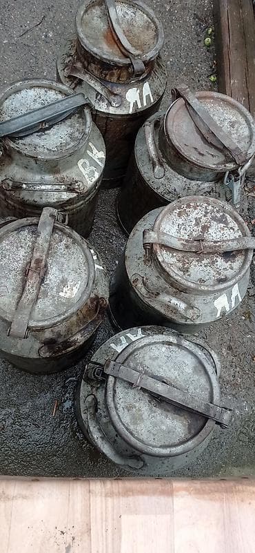 Үй жана бакча үчүн баардык: Железные фляги из под меда с хомутным замком. в наличии 8 штук — 1