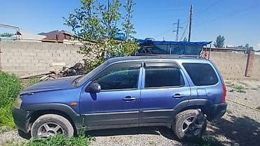 Mazda Tribute: 2003 г., 3 л, Автомат, Бензин, Кроссовер