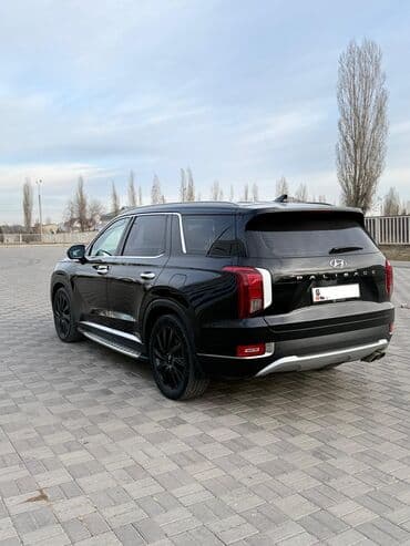 защитное стекло на мотоцикл: Hyundai Palisade: 2019 г., 2.2 л, Автомат, Дизель, Кроссовер — 3