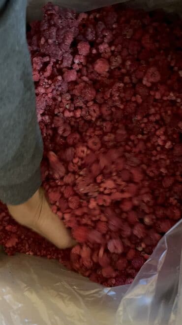 оборудование для мороженого: Замороженные фрукты, ягоды, Малина, Шоковая, Оптом — 1