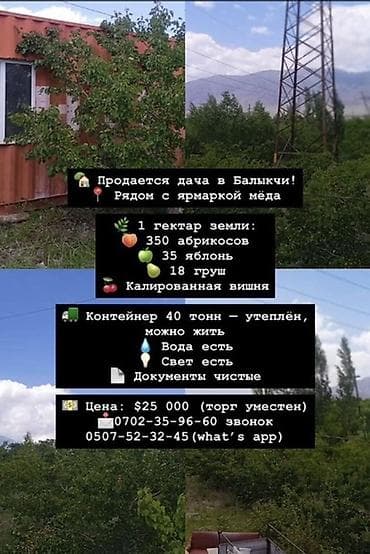 канте: 100 соток — 1