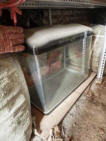 Аквариум с крышкой Стекло треснутое для рыб не пойдёт - at lalafo.kg Аквариум с крышкой Стекло треснутое для рыб не пойдёт -