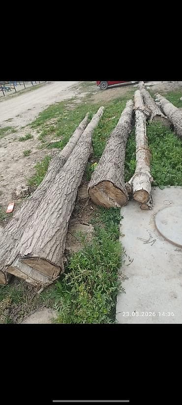 отун дрова сатылат: Кругляк/бревна лиственных пород - Порода: ориентировочно — 4