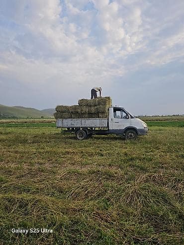 Унаа: ГАЗ GAZel: 2007 г., 2.5 л, Кол менен иштөөчү, Бензин, Van — 10
