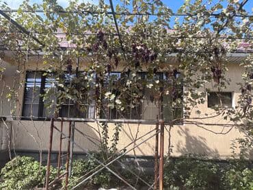 дом долинка: Дом, 140 м², 3 комнаты, Собственник, Евроремонт — 10