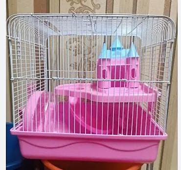 ласка животное: Продаю клетку с 2 хомячками ручными джунгариками. клетка большая — 3