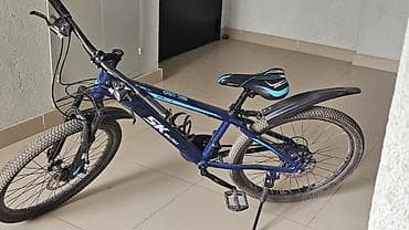 Балдар үчүн велосипеддер: Өспүрүм балдар үчүн велосипед — 4