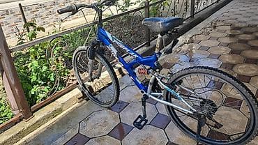 шатор: Абалы орто — 1