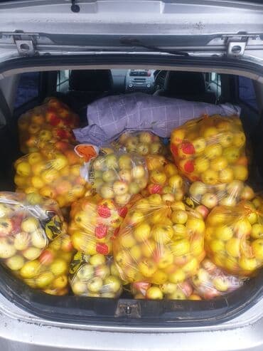 Яблоки Оптом