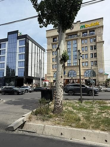 Недвижимость: 2 комнаты, С мебелью полностью — 5