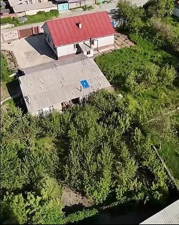 ысык куле: 23 соток, Кызыл китеп — 3