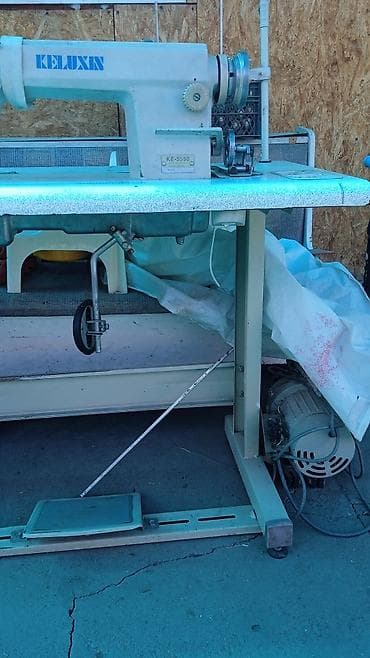 отдам даром животных бишкек: Отдам даром — 3