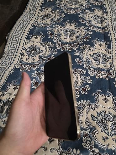 макбук 2013: IPhone 12 Pro Max, 256 ГБ, Алтын — 4