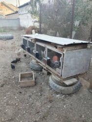 аренда животных: Продаю | Крольчата | Декоративная | Для разведения | Племенные — 4