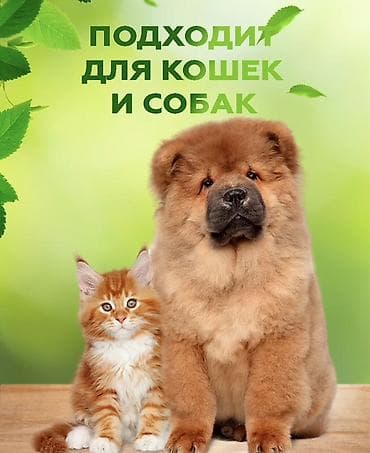 Үй жаныбарлары үчүн товарлар: В наличии на заказ
Доставка 10-14 дней
50% предоплата 
Пишите вотсап — 4