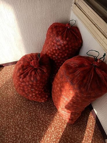 Продукты питания: Продаю орех грецкий урожай 2025 года,хорошо высушенный,два с половиной — 2