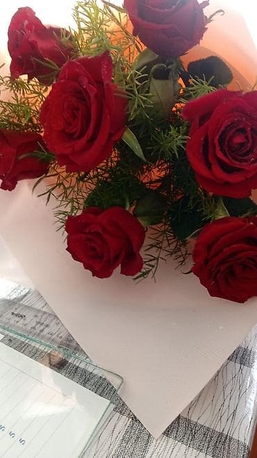 комната васток 5: Семейная пара хочет снять дом на долгое время проживание.В городе — 1