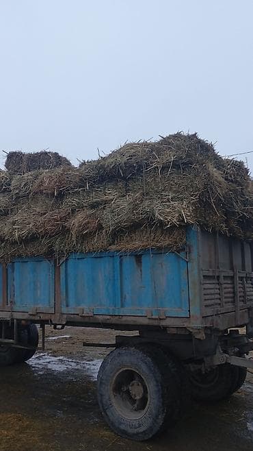 тюк сено: Сено в тюках (прямоугольные кипы), уложено и перевязано шпагатом. Тюки — 1