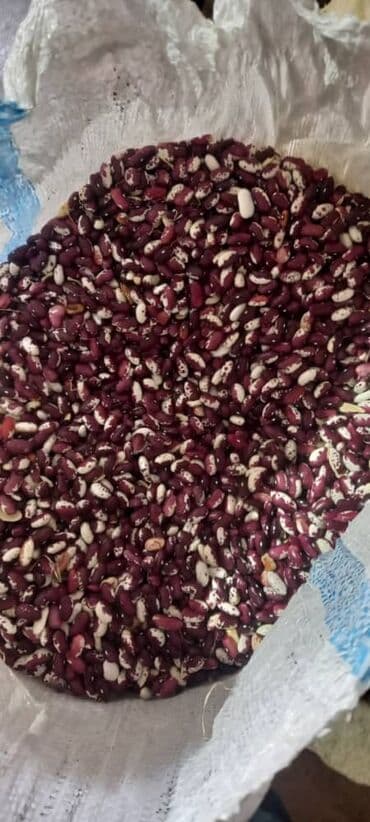 зерно кофе: Фасоль сатылат басы 200сом — 6
