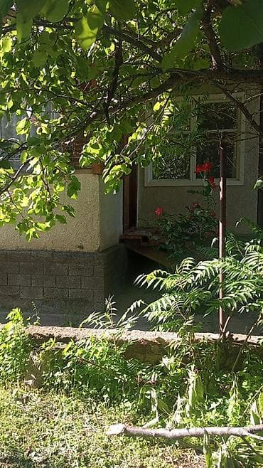 садовое участок: Сдается посуточно Дом с садовым участком на иссык-куле - Уютный — 1