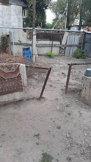 Недвижимость: Дом с участком. По техпаспорту: жилой дом-квартира, год постройки — 4