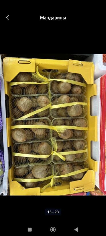 семена тюльпана: Мандарины Оптом — 3