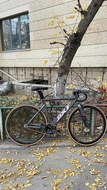 Шоссейный велосипед, Рама L (172 - 185 см), Б/у