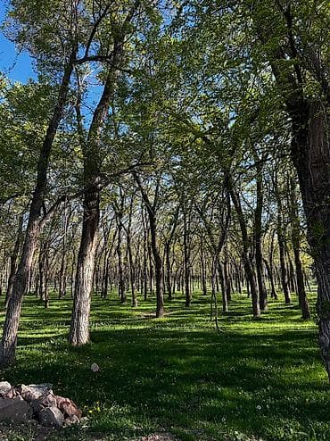 комната аламедин 1: 100 соток, Курулуш, Сатып алуу-сатуу келишими — 9