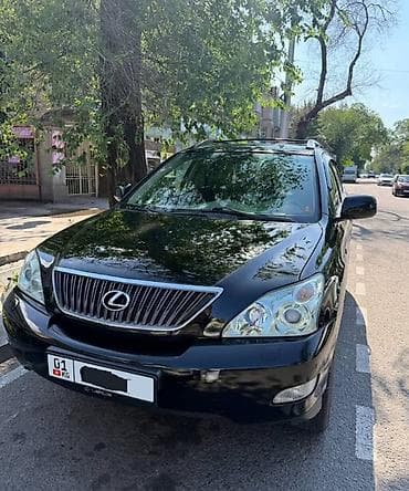 rx 200: Lexus RX: 2005 г., 3 л, Автомат, Бензин, Кроссовер — 6