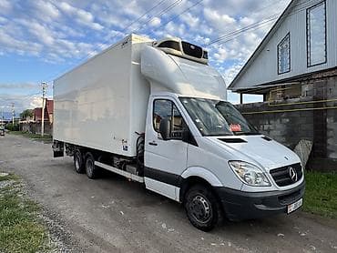 мерс 225: Mercedes-Benz Спринтер: 2010 г. — 3
