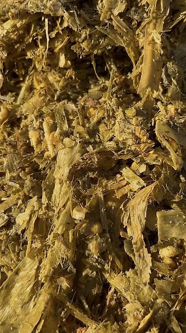 кукурузы: СИЛОС в индивидуальных рулонах Малга алмашам кайрылабергиле! Адрес — 3