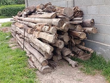 Пикник үчүн товарлар: Отун — 1