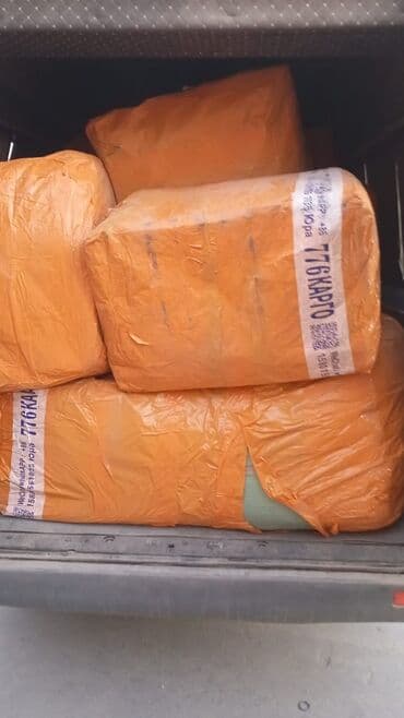 купить семена цветов в бишкеке: Доставка в Бишкек из Кара-Балты или наоборот на спринтере до 3-тонн — 2